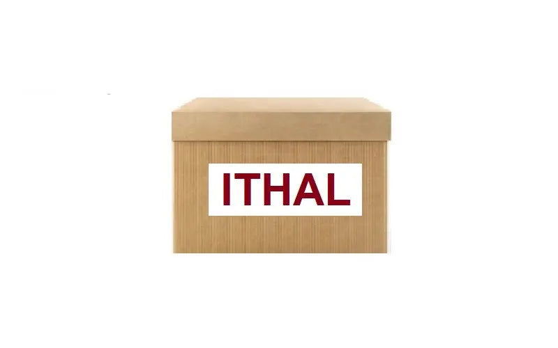 ITHAL ORIJINAL 9802763880 Enjektör